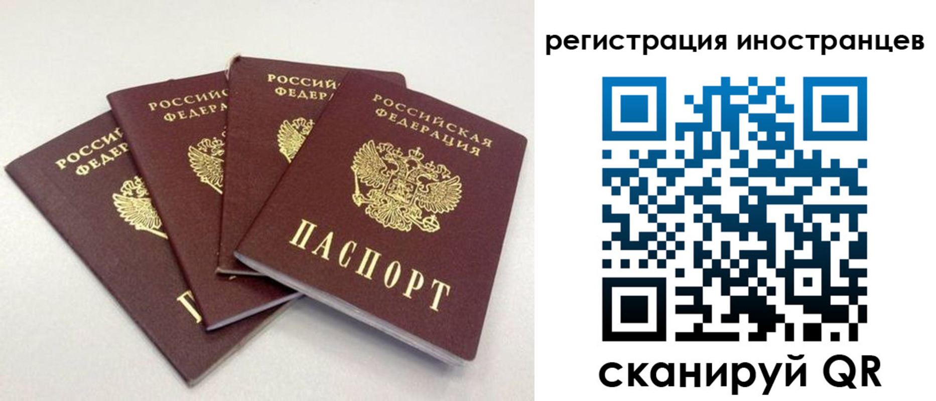 временная регистрация для школы в Сосновом Бору